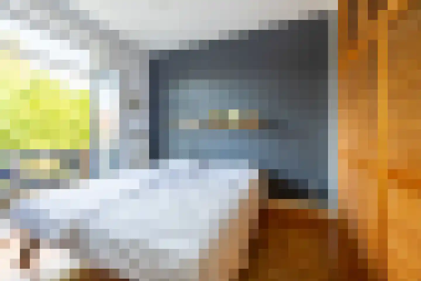 Timorstraat 63 Haarlem thumbnail 30