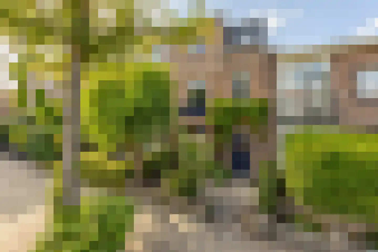 Timorstraat 63 Haarlem thumbnail 41