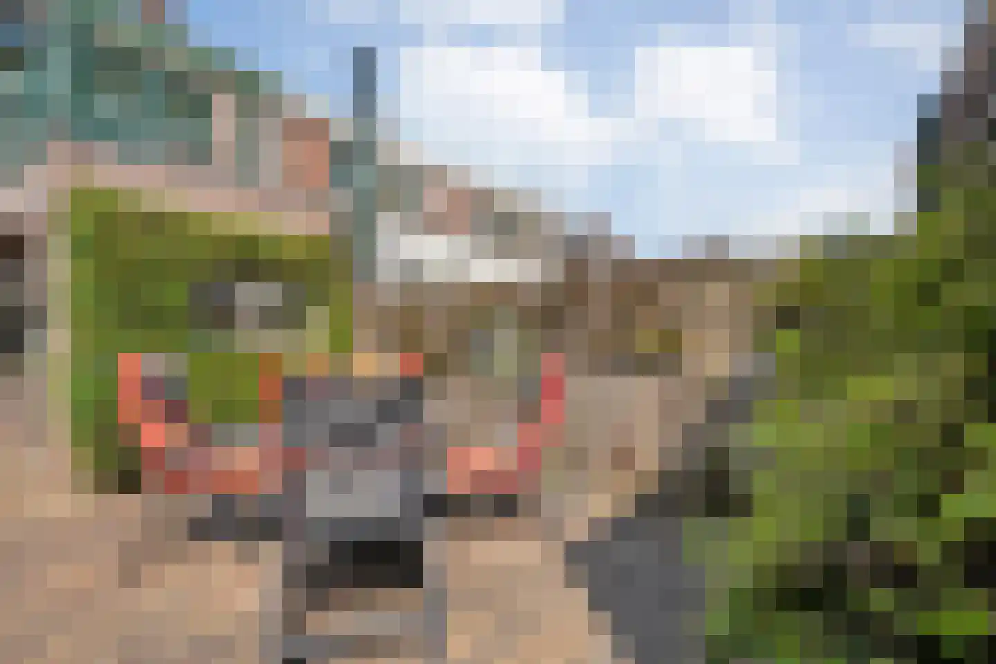 Timorstraat 63 Meppel thumbnail 30