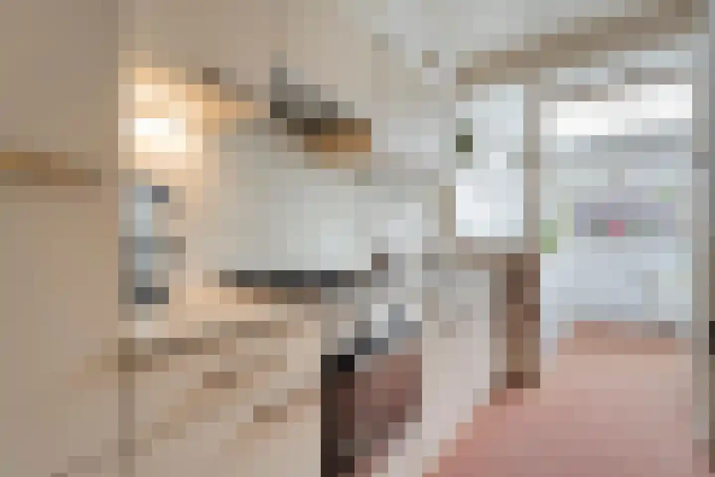 Timorstraat 63 Meppel thumbnail 4