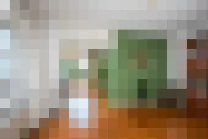 Timorstraat 7 Hengelo thumbnail 12