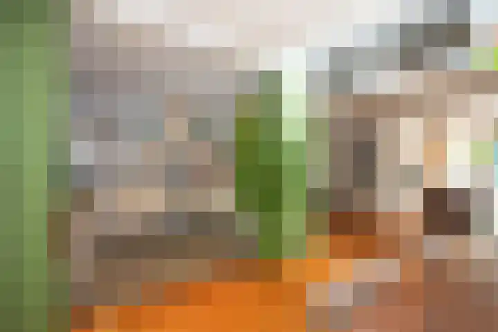 Timorstraat 7 Hengelo thumbnail 15