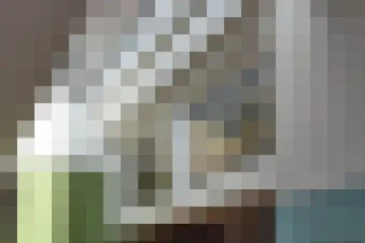 Timorstraat 7 Hengelo thumbnail 16