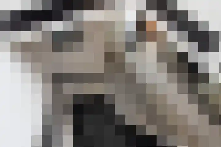 Timorstraat 7 Hengelo thumbnail 21