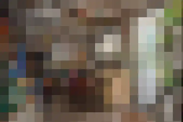 Timorstraat 7 Hengelo thumbnail 30