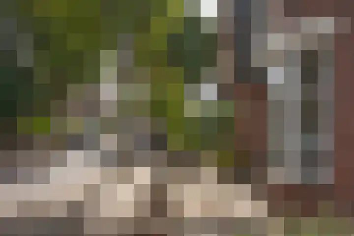 Timorstraat 7 Hengelo thumbnail 35