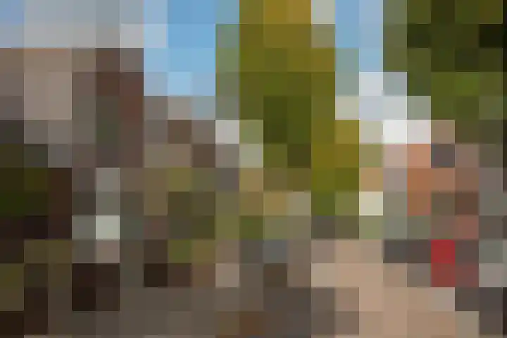 Timorstraat 7 Hengelo thumbnail 36