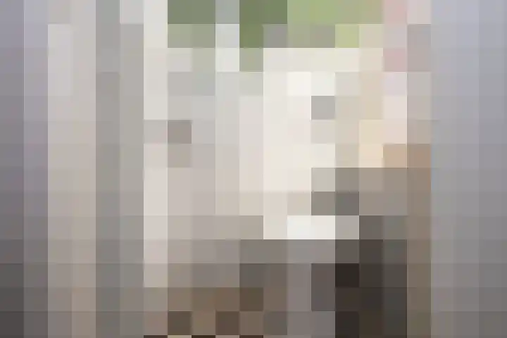 Timorstraat 7 Hengelo thumbnail 7