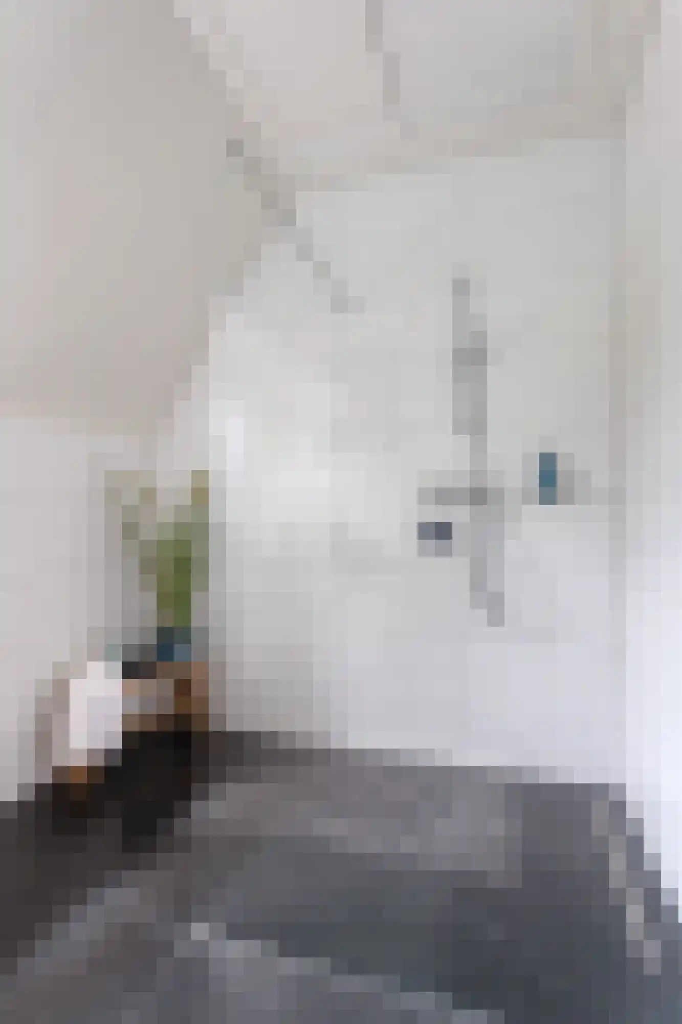 Timorstraat 8 Nijmegen thumbnail 44