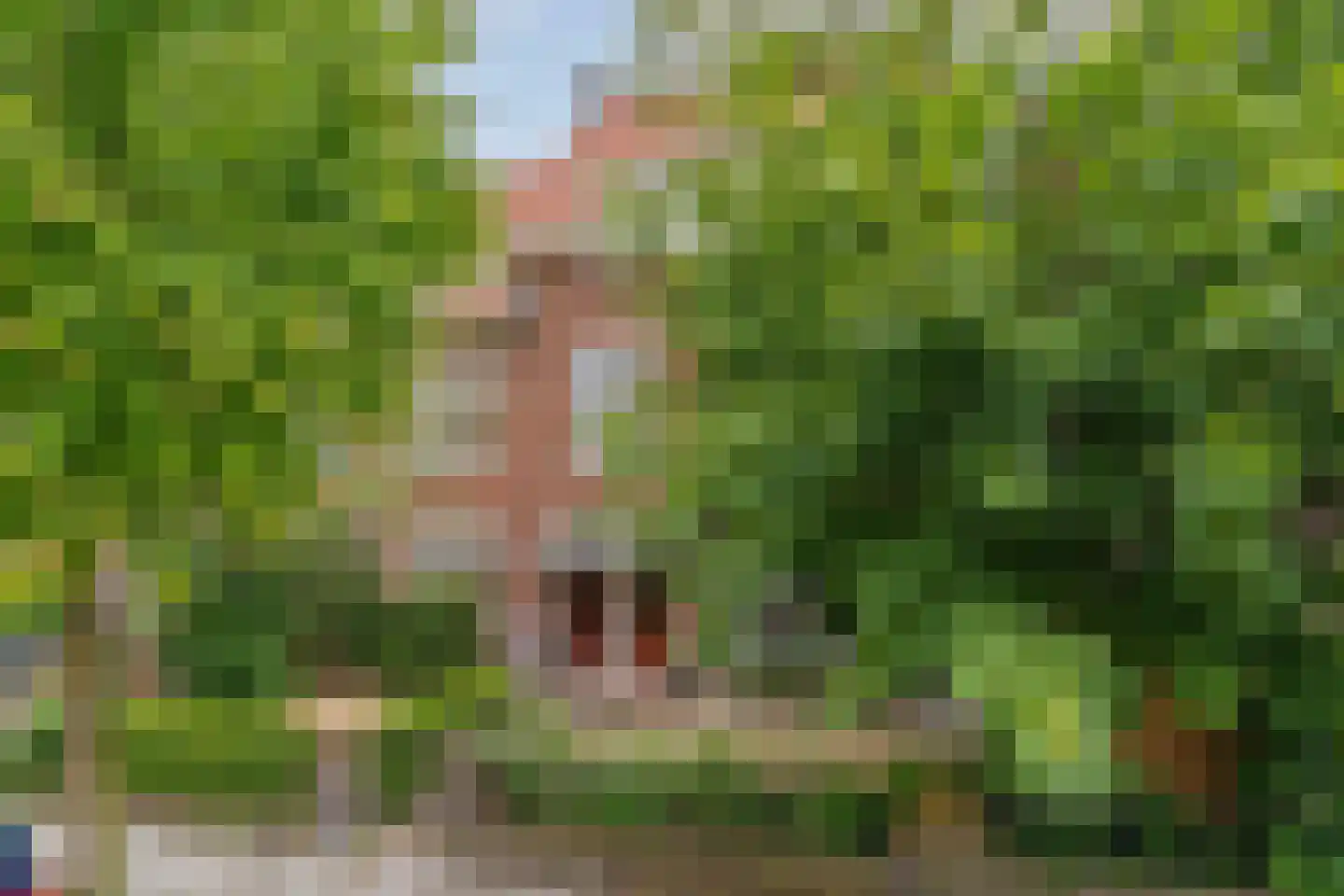 Timorstraat 8 Nijmegen thumbnail 46