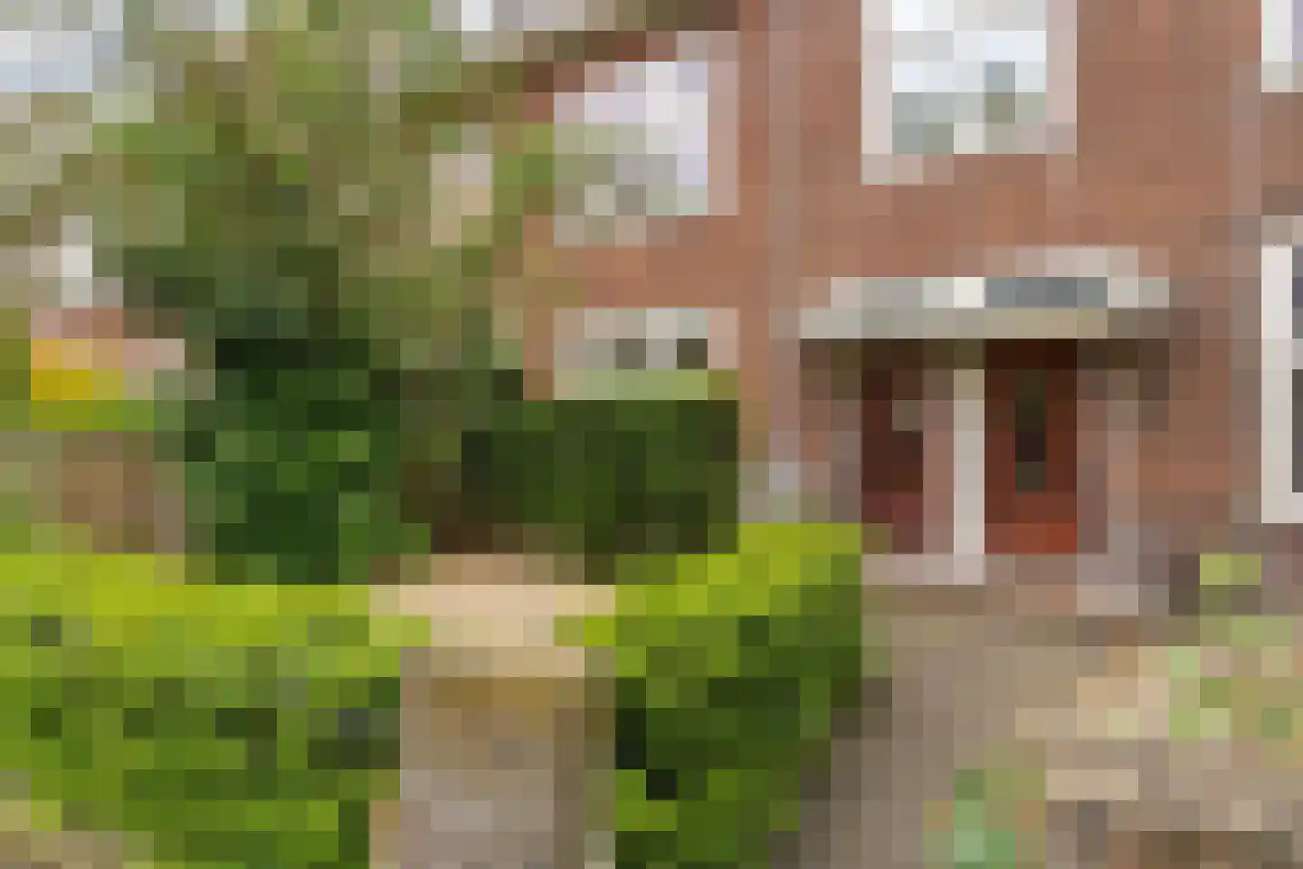 Timorstraat 8 Nijmegen thumbnail 7