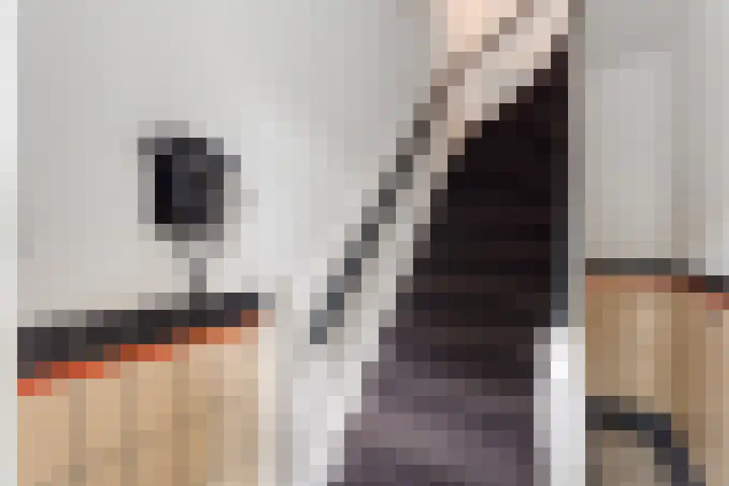 Timorstraat 8 Nijmegen thumbnail 9