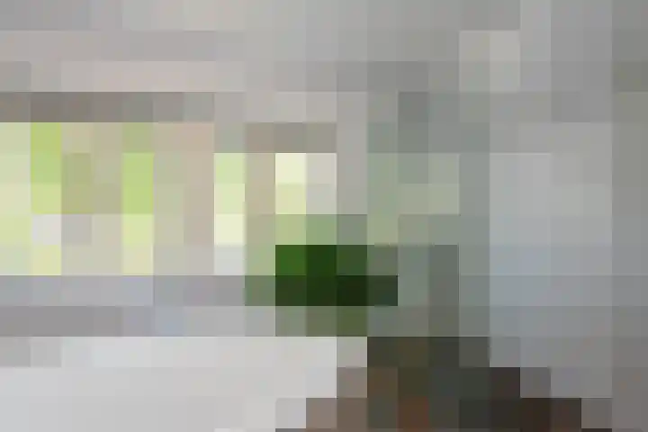 Timorstraat 96 Haarlem thumbnail 33