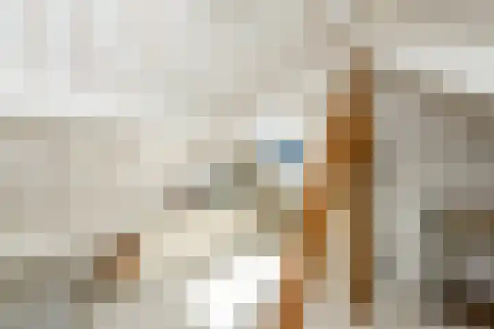 Timorstraat 96 Haarlem thumbnail 38