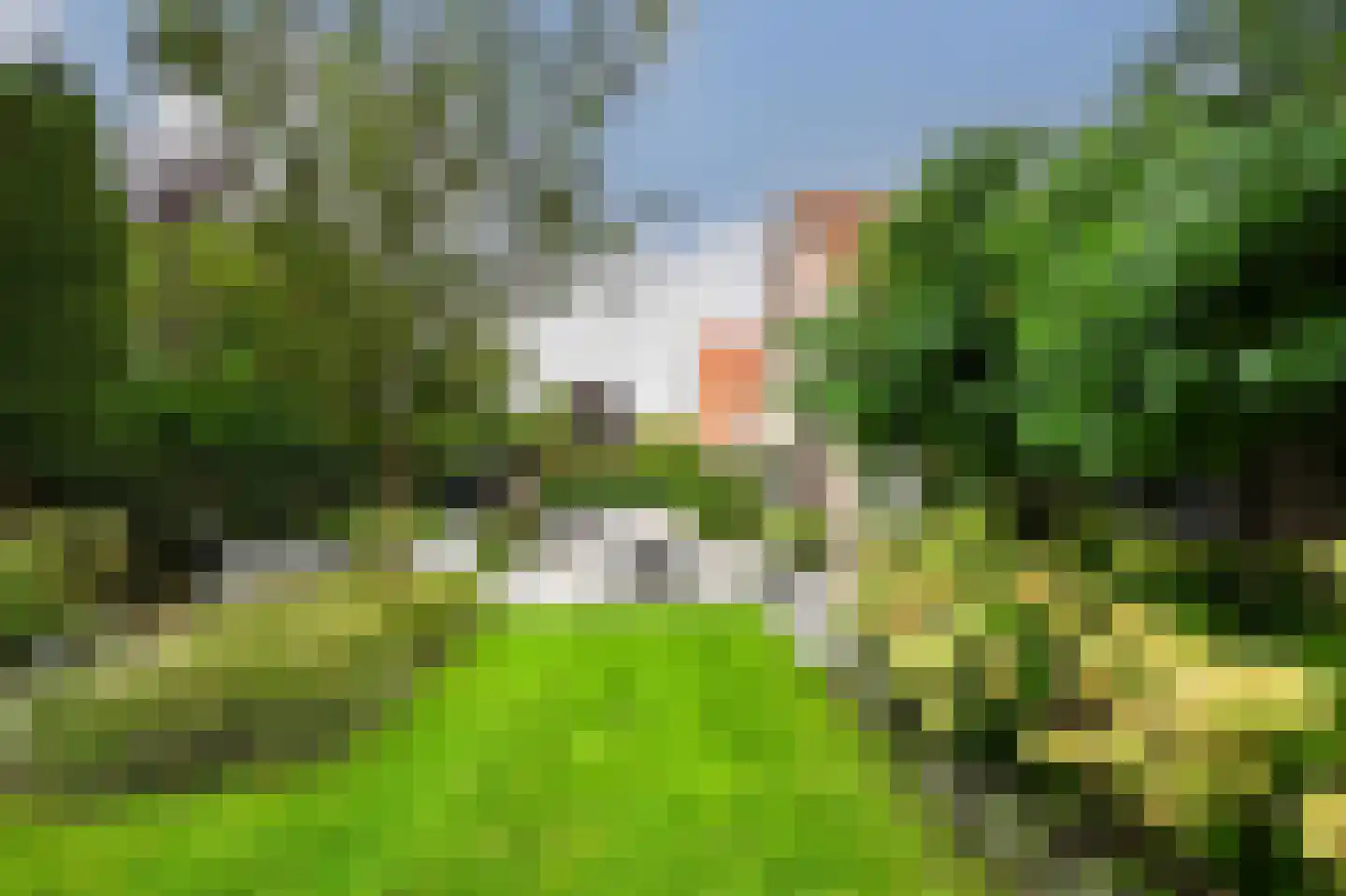 Timothee 14 Zeewolde thumbnail 5