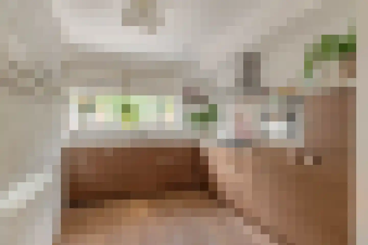 Timothee 22 De Goorn thumbnail 15