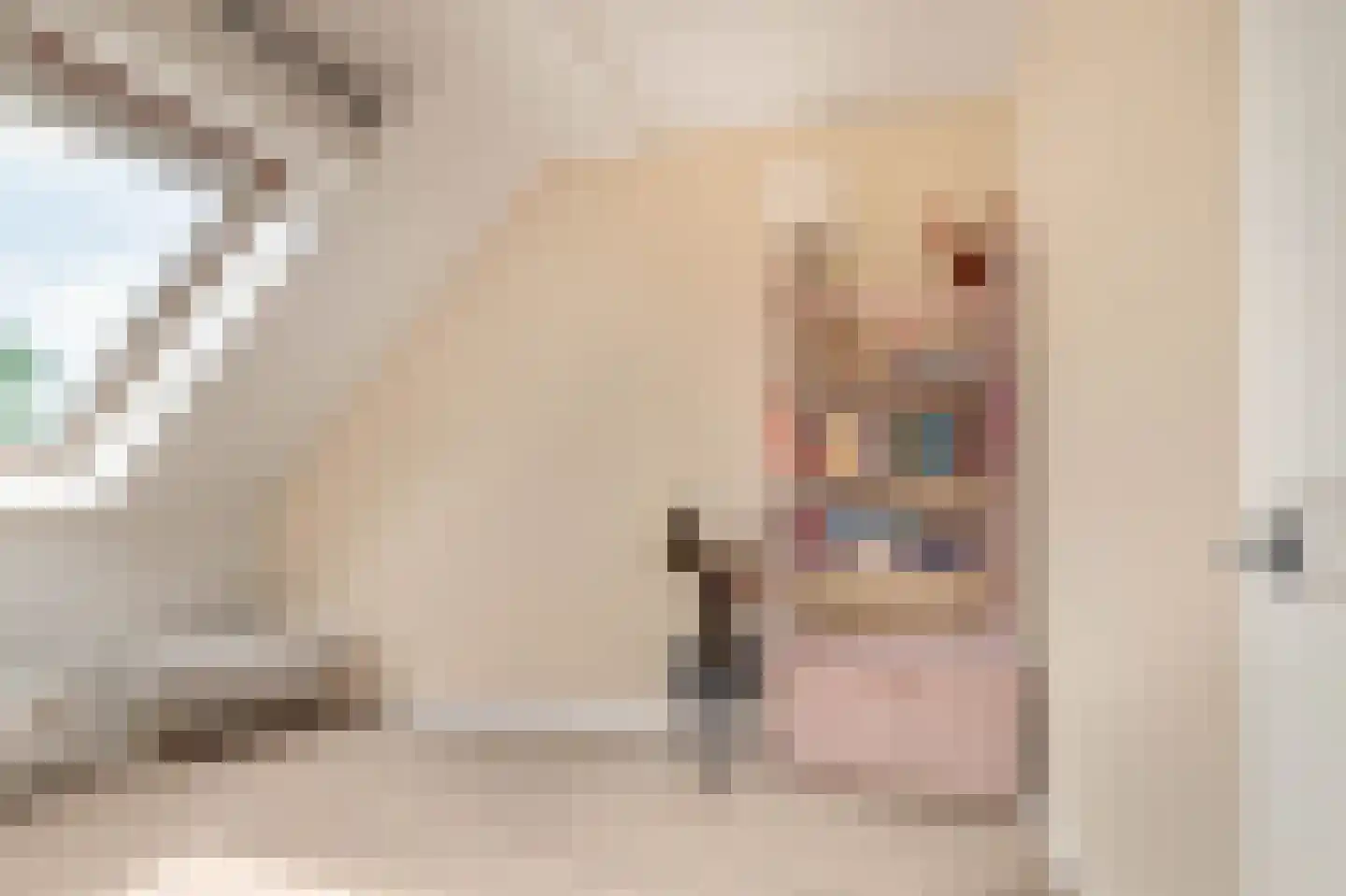 Timothee 22 De Goorn thumbnail 20