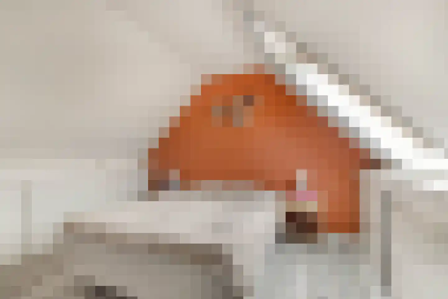 Timothee 22 De Goorn thumbnail 27