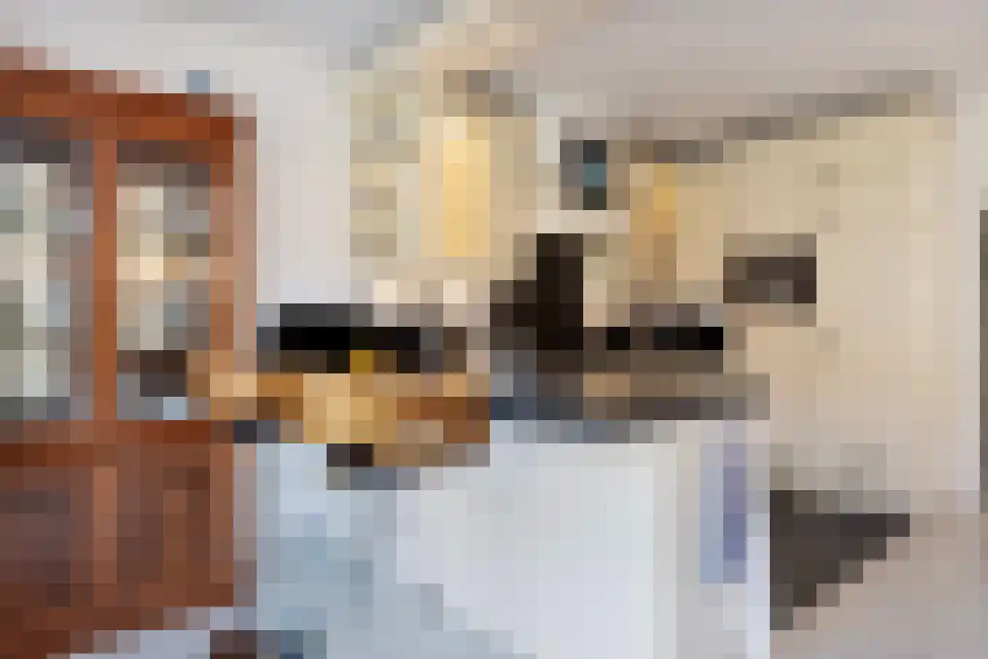 Timothee 4 De Goorn thumbnail 11