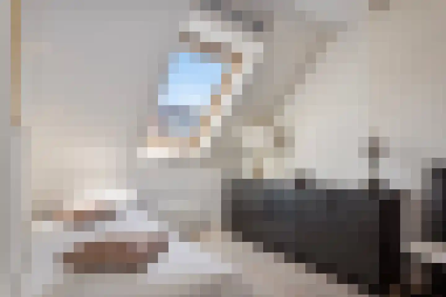 Timothee 4 De Goorn thumbnail 12