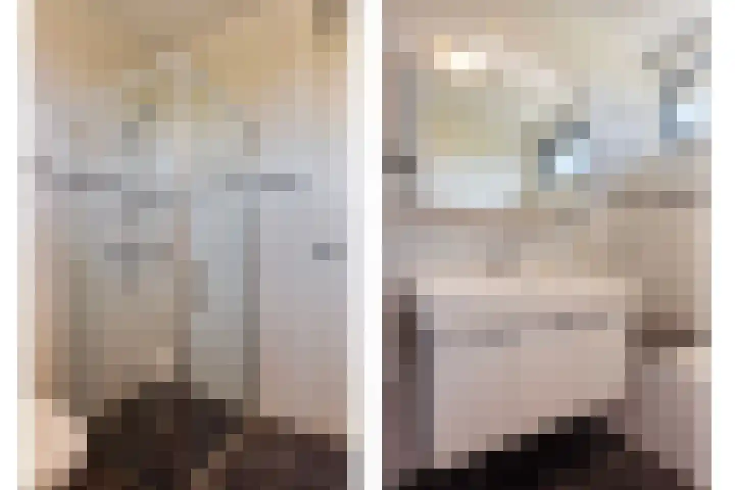 Timothee 4 De Goorn thumbnail 14