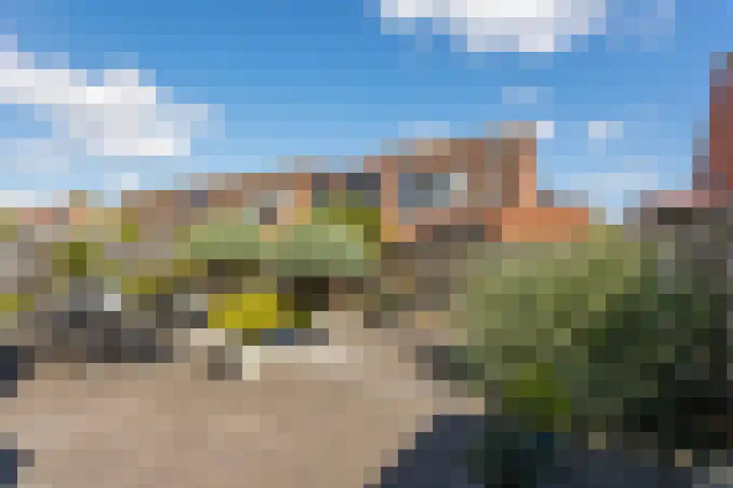 Timothee 4 De Goorn thumbnail 17