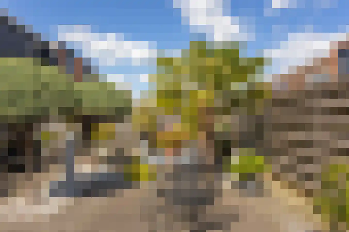 Timothee 4 De Goorn thumbnail 19