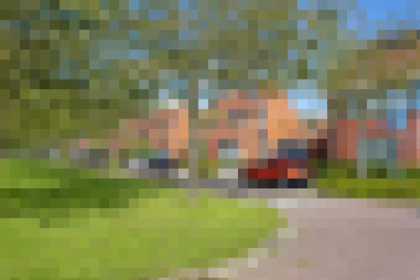 Timothee 4 De Goorn thumbnail 23