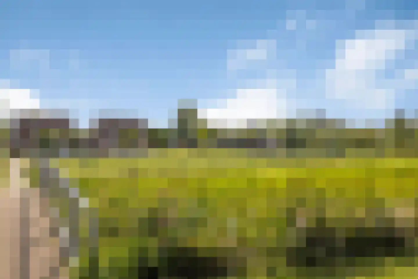 Timothee 4 De Goorn thumbnail 25