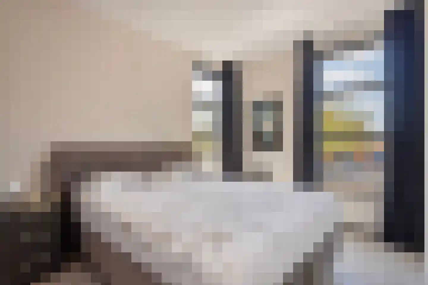 Timothee 4 De Goorn thumbnail 4