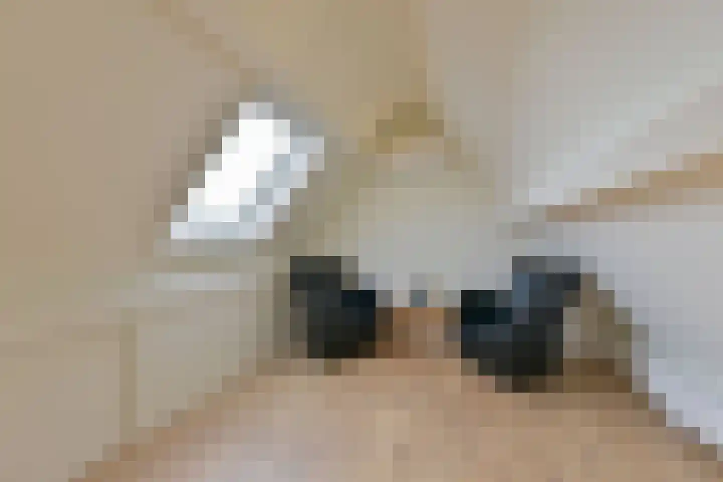 Timotheegras 13 Wilnis thumbnail 32