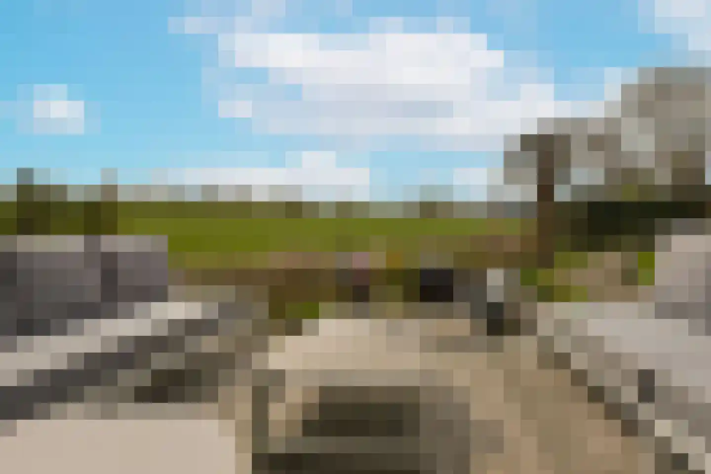 Timotheegras 13 Wilnis thumbnail 42