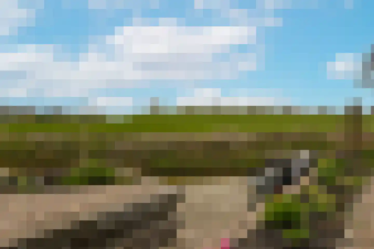 Timotheegras 13 Wilnis thumbnail 43