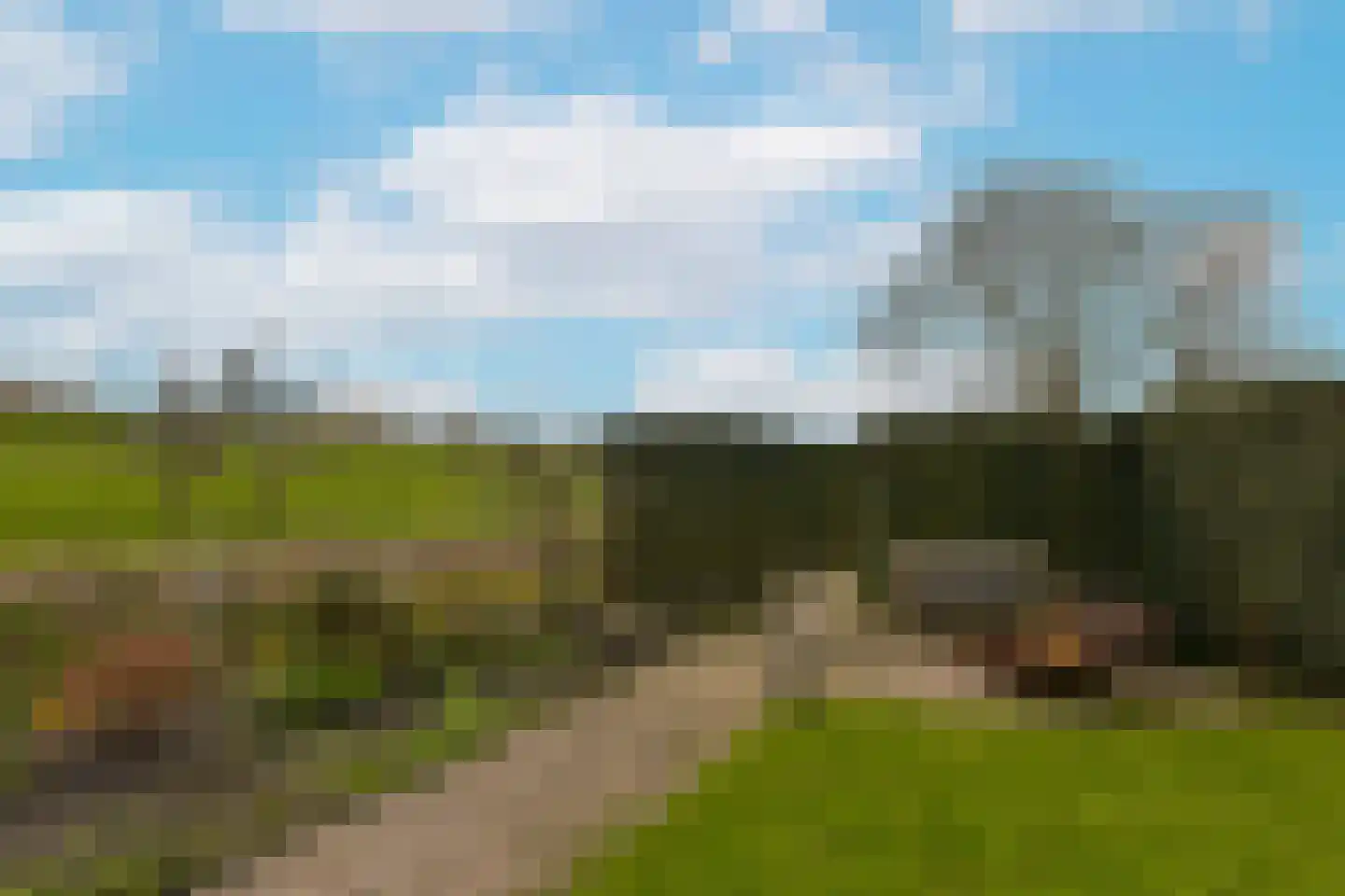 Timotheegras 13 Wilnis thumbnail 44