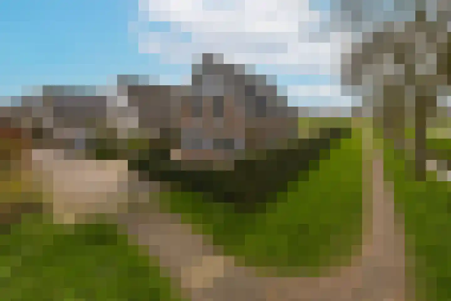 Timotheegras 13 Wilnis thumbnail 48