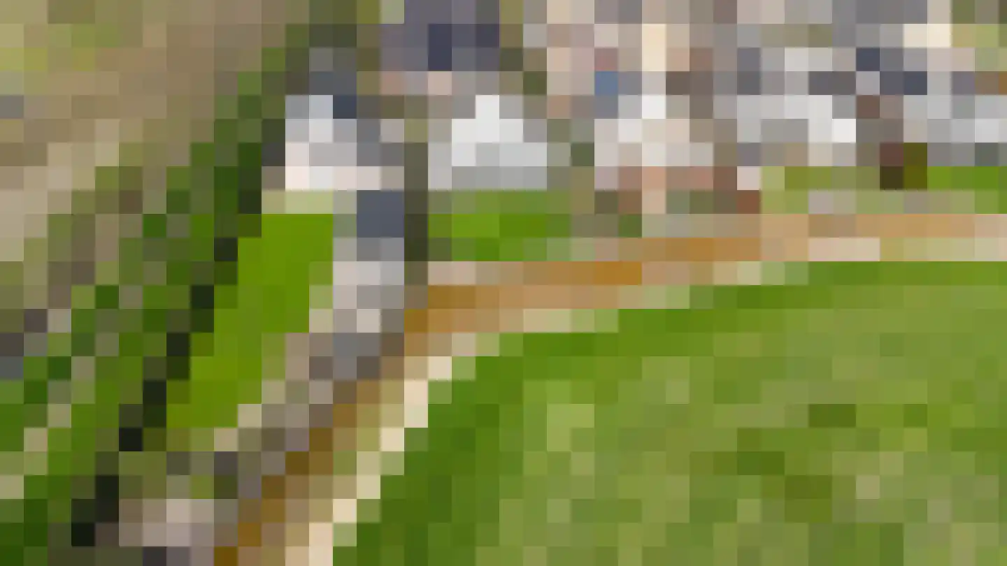 Timotheegras 13 Wilnis thumbnail 50