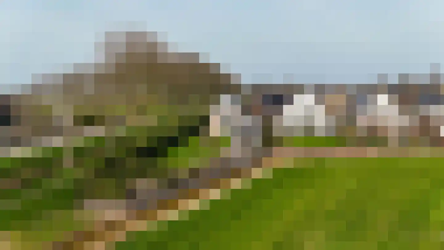 Timotheegras 13 Wilnis thumbnail 52