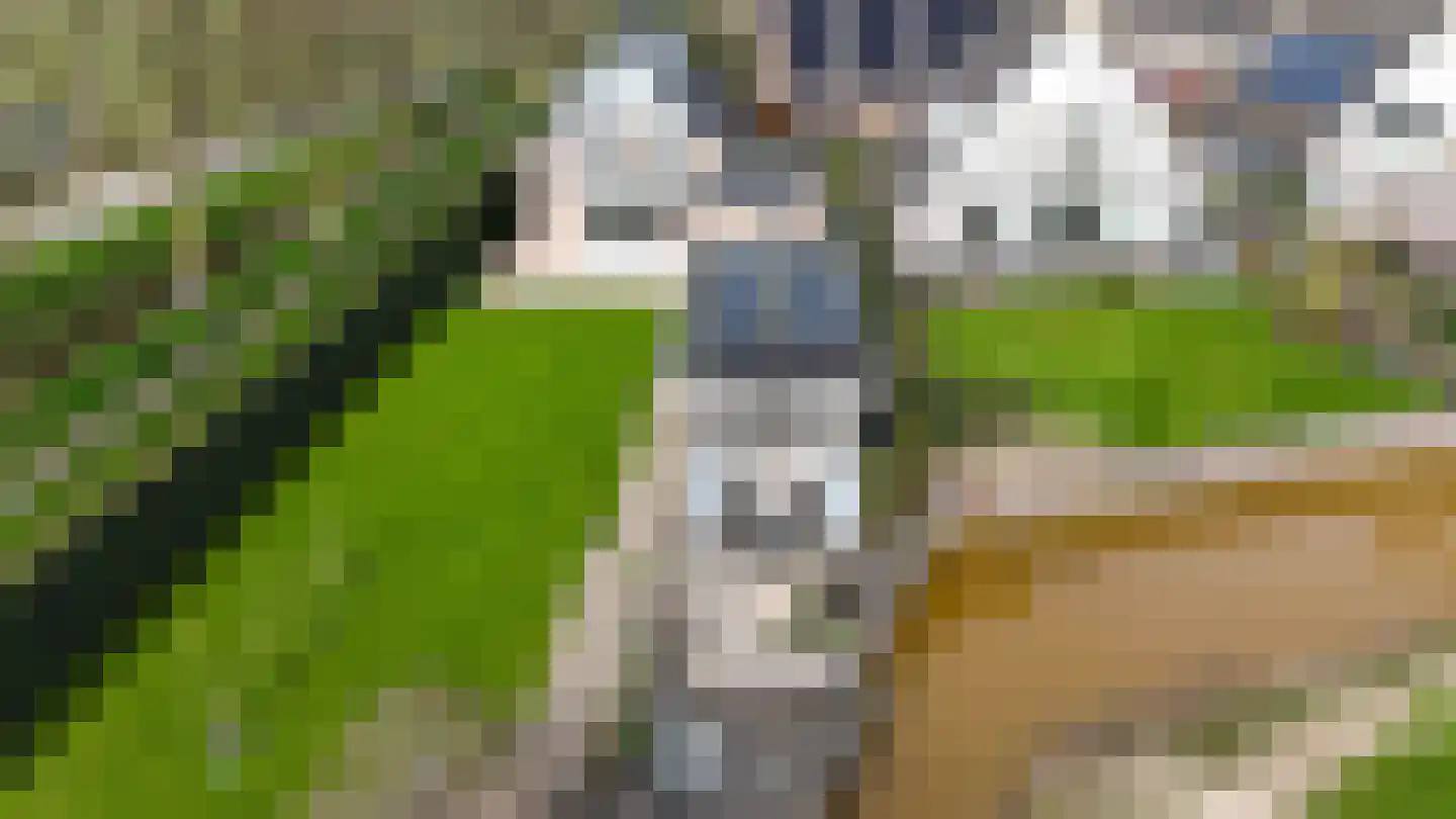 Timotheegras 13 Wilnis thumbnail 53