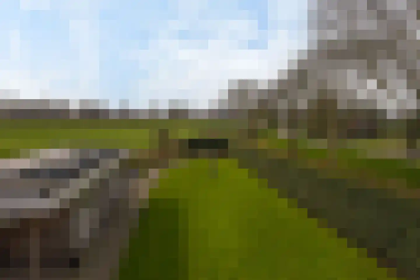 Timotheegras 13 Wilnis thumbnail 57