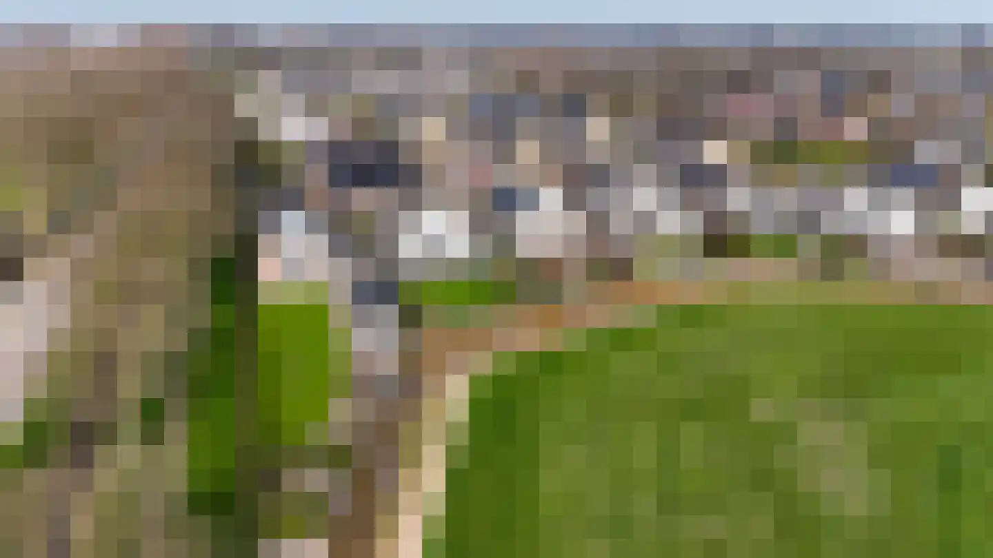 Timotheegras 13 Wilnis thumbnail 59