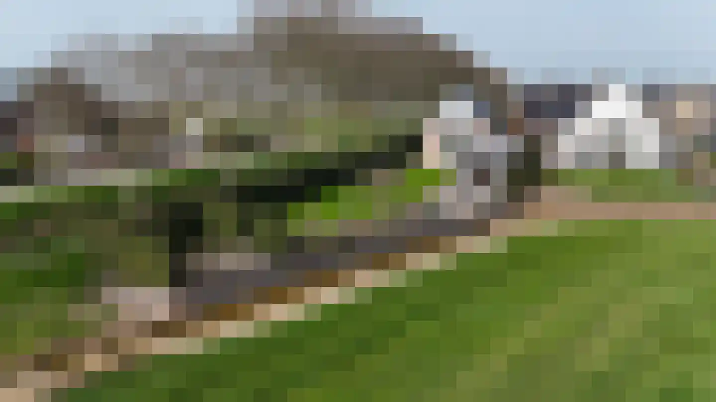 Timotheegras 13 Wilnis thumbnail 61
