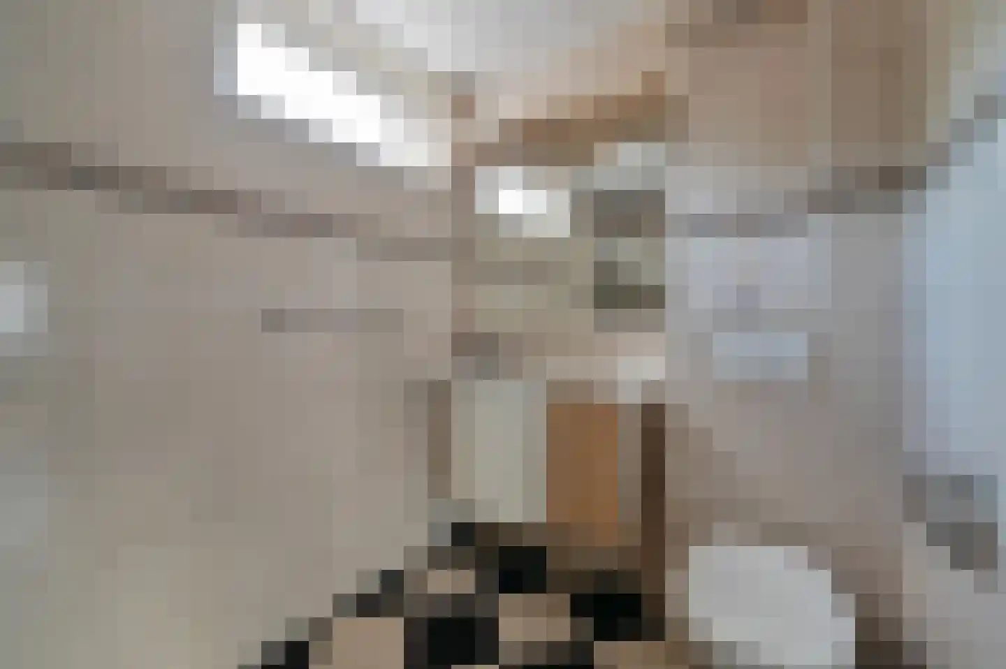 Timotheegras 22 Wilnis thumbnail 14