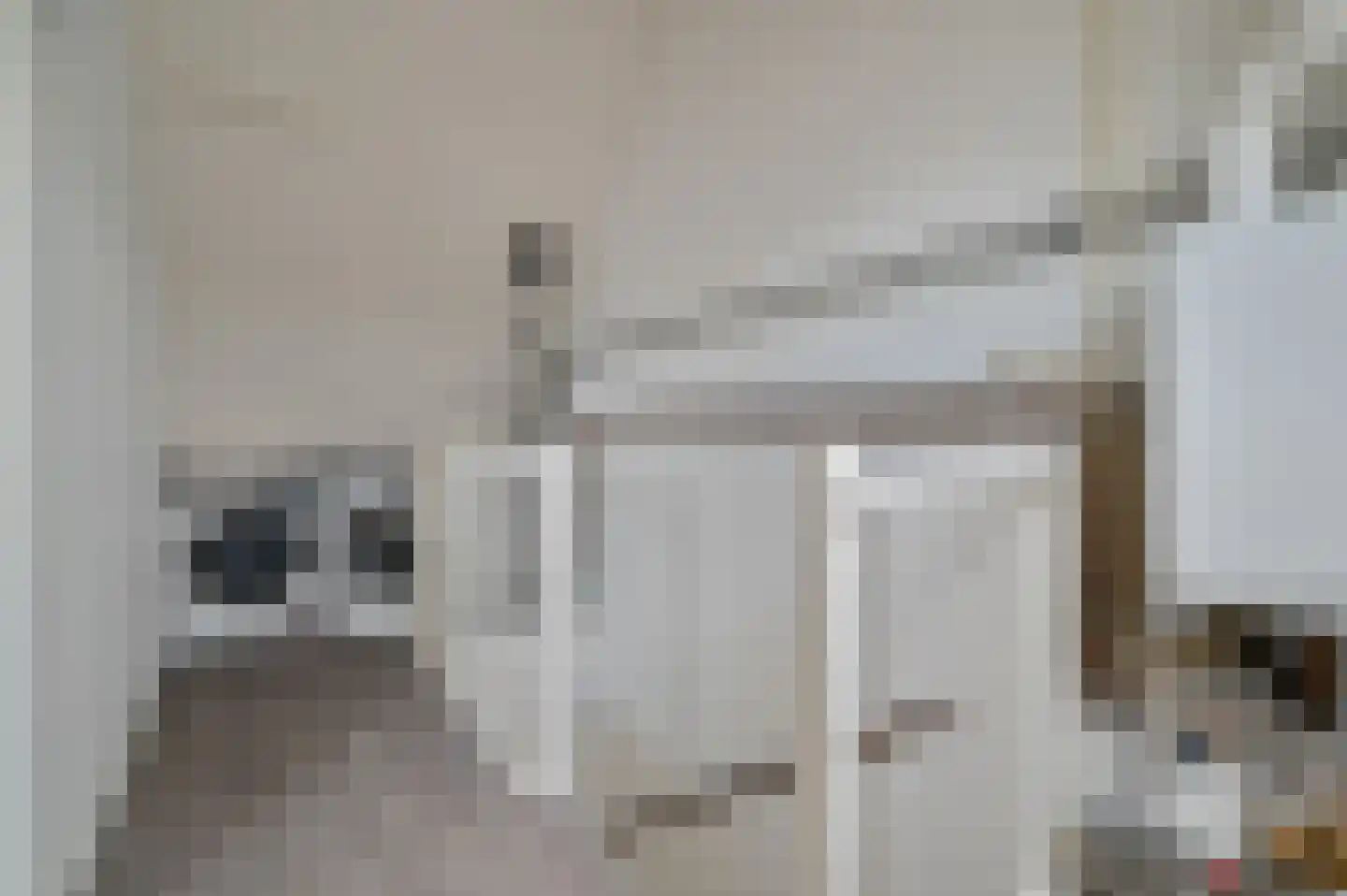 Timotheegras 22 Wilnis thumbnail 19