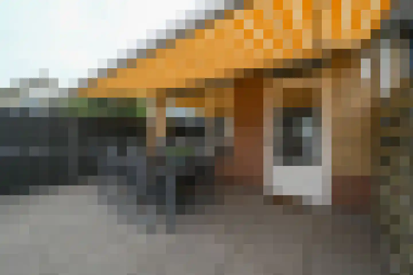 Timotheegras 22 Wilnis thumbnail 24