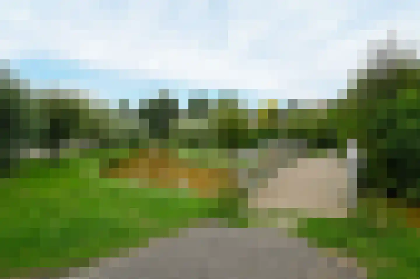 Timotheegras 22 Wilnis thumbnail 29