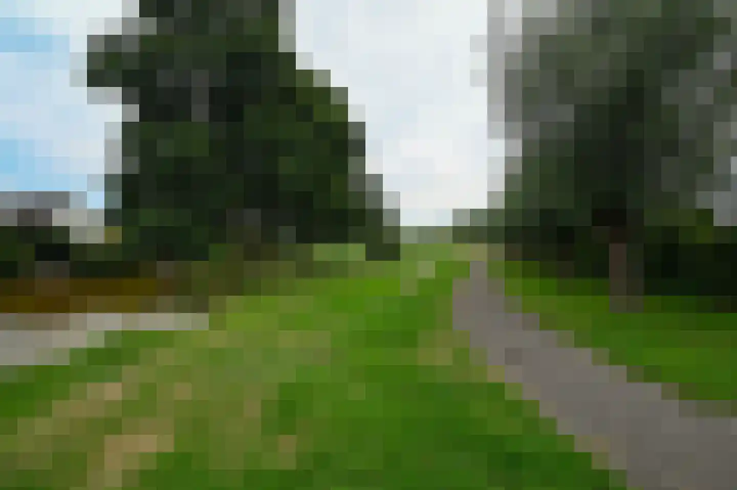 Timotheegras 22 Wilnis thumbnail 31