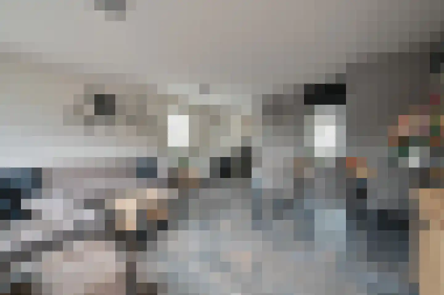 Timotheegras 22 Wilnis thumbnail 6