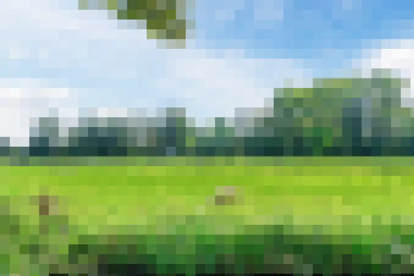 Timotheushof 7 Linschoten thumbnail 29