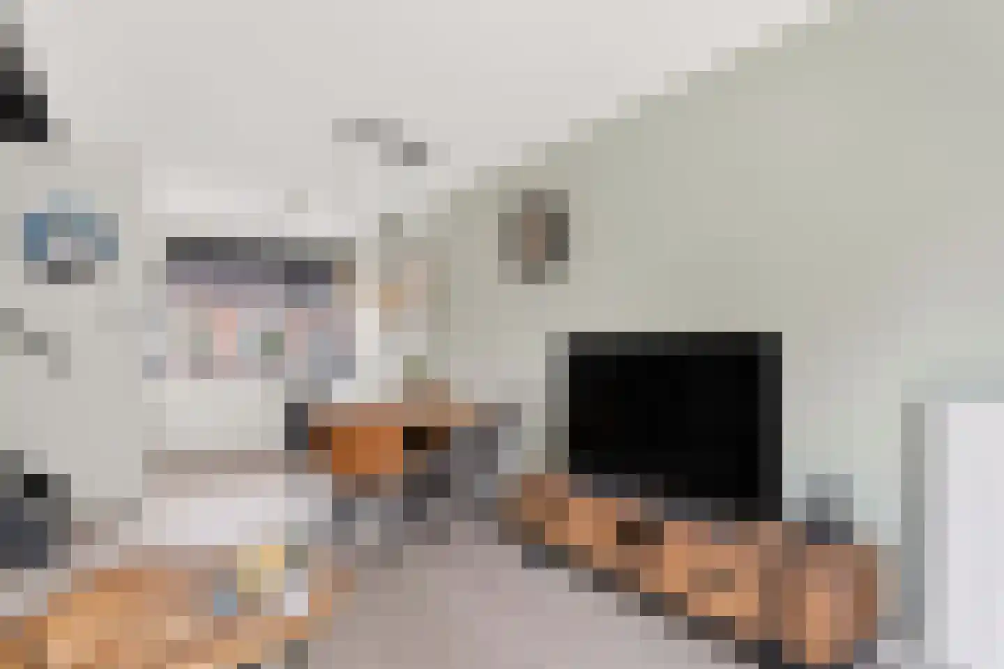 Timotheushof 7 Linschoten thumbnail 8