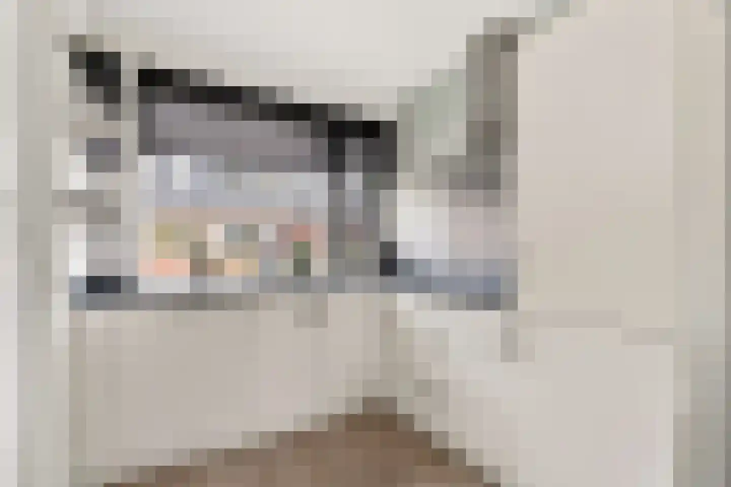 Timotheushof 7 Linschoten thumbnail 9